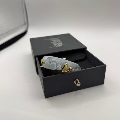 Luxury Packaging